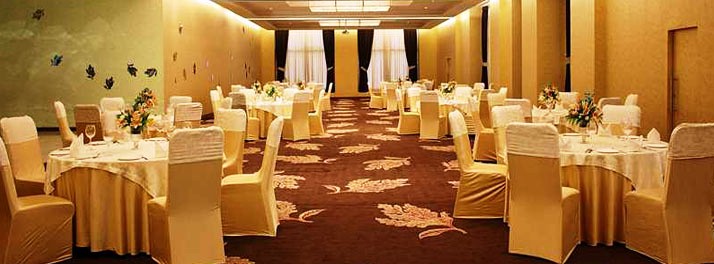 431/Radisson Blu Hotel Dwarka - New Delhi 08.jpg